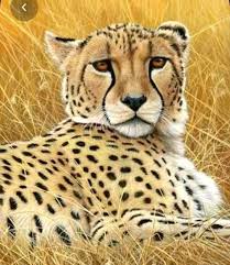 Depay doesn't seem to have taken into account warnings made in the past by mike tyson, who had a tiger as a pet. See The Football Player Who Has A Lion As A Pet Sports Nigeria