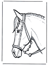 Klik op de paardenhoofd zentangle kleurplaten om de printbare versie te bekijken of kleur het online in (geschikt voor ipad en android tablets). Paardenhoofd 2 Kleurplaten Paarden