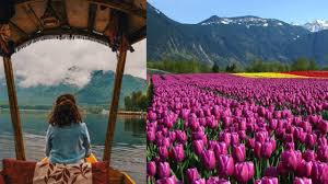 .to visit kashmir 2nd time.bcoz 1st time we visited in december 30th 2017 to 3rd jan 2018.so we want to visit again.tell us best season. Jammu Kashmir Ready For Spring Season Shikhara Rides Tulip Gardens Open Curly Tales