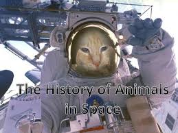 At this early stage of the worlds space programs. The Launch Vehicle That Put Sputnik Into Orbit The Launch Vehicle That Put Sputnik Into Orbit Was Made From The Soviet R 7 Ballistic Missile The Launch Ppt Download