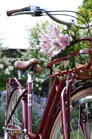 Explore our lineup of powerful dual motor electric bikes and shop now! Mobilitat Fahrrader So Bunt Wie Bonbons Schonste Modelle Fur Radelnde Eltern Mummy Mag