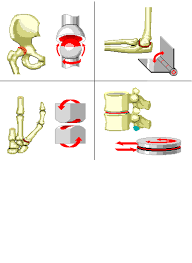 Types Of Joints