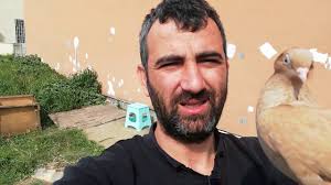 Cok Guzel Bir Kacak Yakaladim Yasakli Gunde Avare Guvercin Cektim Arka Tepe Trakya Guvercini Youtube