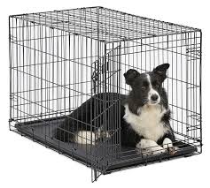 Midwest Homes For Pets Dog Crate Icrate Single Door Double Door Folding Metal Dog Crates Full Folding Dog Crate Dog Playpen Dog Crate