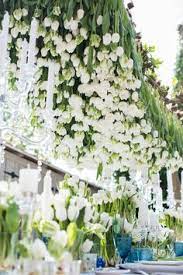 Demi Millroy Demimillroy Profile Pinterest