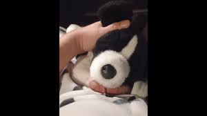 POV Plushie Border Collie Makes Onesie Puppy Cum!