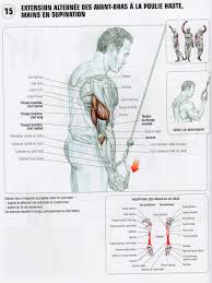 Epingle Sur Exercices Musculation