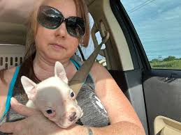 Mama #Angie and the 3 bitty babies go home tomorrow. They have been such a  joy to have. Im so happy when I have babies in the house. <3 Wish them happy