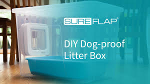 Say see ya! to messy, smelly litterboxes! 5 Best Dog Proof Litter Boxes How To Keep Dogs Away From Cat Poop