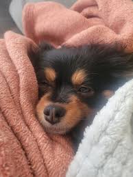 Instagram-photo från Blake Dyer • Feb 19, 2025 at 6:08 PM