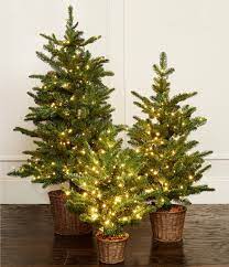 Southern Living Pre Lit Micro Led Lighted Pine Christmas Tree In Wicker Basket Dillard S Pine Christmas Tree Christmas Tree In Basket Outdoor Christmas Tree