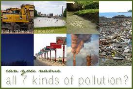 7 Kinds Of Environmental Pollution Sustainable Baby Steps