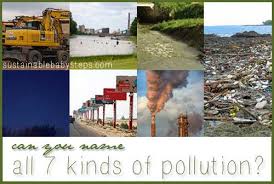 7 kinds of environmental pollution sustainable baby steps