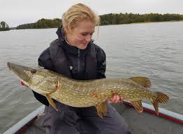 Gädda på 14,4 kg och 125 cm som jag fångade tillsammans med evelina henriksen när vi var ute och vårfiske efter gädda med stefan trumman trumstedt. Varfiske Efter Gadda Hur Gor Mia Bagger Fiskefuralle