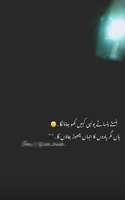 Fall In Love With The Person Who Enjoys Your Madness Meaning In Urdu Pin On Urdu Quotes