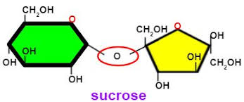 Biochemistry I Module Of The Mcat Self Prep Ecourse: Lesson 12:  Carbohydrates: Diagram B: Disaccharides Diagram | Quizlet
