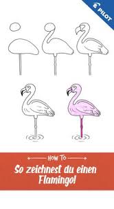 Wir Zeigen Mit Dieser Zeichen Anleitung In Funf Schritten Wie Man Einen Flamingo Zeich Disney Zeichnen Anleitung Einfach Zeichnen Einfache Sachen Zum Zeichnen