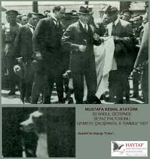 Dilek Cansel Adli Kullanicinin Ataturk Un Kopek Sevgisi Panosundaki Pin Geziler Resim Hayvan