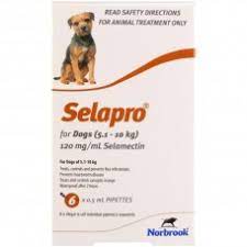 Are pet meds from australia safe. Pets Megastore Discount Medical Supplies For Pets