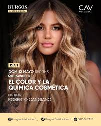 Distribuidora Burgos