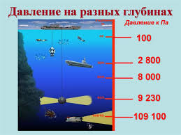 Картинки по запросу гидростатический парадокс