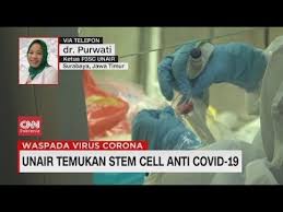 Peneliti Stem Cells Unair Temukan Potensi Obat Anti Corona Youtube