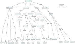 Science Vocabulary Strategies Science Vocabulary Strategies Vocabulary Strategies Concept Map Science