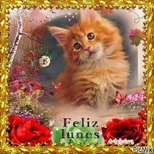 feliz lunes - PicMix