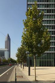 We wish you a pleasant journey! Sal Landschaftsarchitektur Gmbh Projekte Platze Urbanes