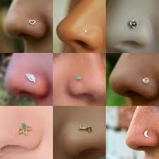 Pin By Robyns Styles On Pearcing Nose Piercing Jewelry Cute Nose Piercings Nose Piercing Stud