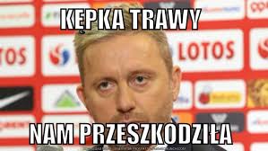 Zobacz najciekawsze publikacje na temat: Memy Po Meczu Polska Czechy Przeszkodzila Kepka Trawy Gol24 Pl