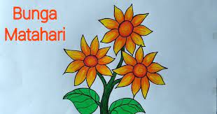Jun 14, 2021 · 7. Gambar Bunga Matahari Untuk Diwarnai Literatur