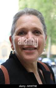 Baroness susan veronica kramer house of lords member party group hi-res  stock photography and images