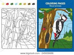 Download your favorite animals and start coloring them. Wood Animals Coloring Vector Photo Free Trial Bigstock
