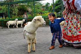 Maybe you would like to learn more about one of these? Tiket Masuk Farm House Lembang Bandung Dapat Bonus Voucher