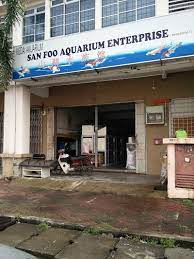 Alibaba.com 1489 bandar puteri puchong ürünü sunuyor. San Foo Aquarium Enterprise Selangor