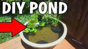 Life Hacks Videos Cheap Diy Backyard Mini Pond Https Diyloop Com Diy Videos Life Hacks Videos Cheap Diy Backyard Mini Mini Pond Diy Backyard Diy Pond