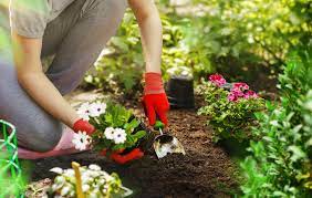 Garden News Home Facebook