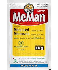 Meman 72WP
