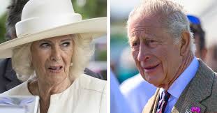 Kung Charles och Camilla söker hjälp