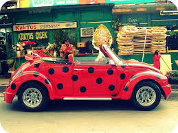 I Caught You Ladybug Esma Picture On Visualizeus Volkswagen Beetle Cute Cars Dots