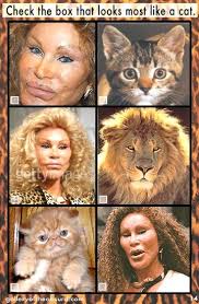 Since starting her plastic surgery odyssey, it is thought the new york socialite has undergone canthopexy, a procedure that elevates the eyes to give them a cat . Gallery Of The Absurd Jocelyn Wildenstein Poster Child Of Plastic Surgery Addiction