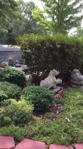 Because your pet is a member of the family. Deceased Pet Care Funeral Homes Crematories And Cemeteries Home Facebook
