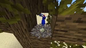 Coral minecraft designs farmhouse decor. You Can Use Coral Fans And Item Frames To Imitate Bird Nests Also Works For Chicken Coops Minecraft