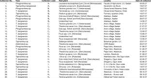 Image result for Helixanthera garciana