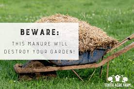 Beware: This Manure Will Destroy Your Garden - Tenth Acre Farm