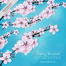 Hd wallpapers and background images. Free Vector Blue Cherry Blossom Background