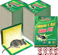 Amazon.com : 48 Pack Mouse Glue Traps Large Size Mouse Traps ...