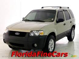 Image result for Gold Ash 2006 Escape