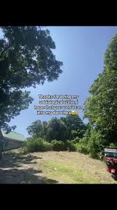 Exploring the Meaning of Dorothea in Nature